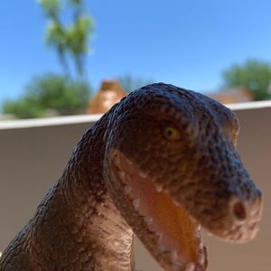 Meet your Posher, Caleb